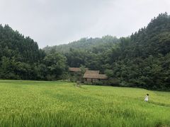 -常德桃花源景区
