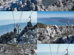 -大理.老字号渝记酸萝卜乌鱼(古城总店)