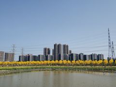 -鸿渡渔庄·特色鸭咀鱼