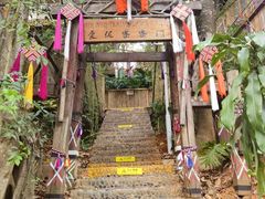 -西双版纳原始森林公园