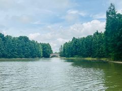 -上海海湾国家森林公园