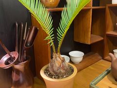 -青藤茶馆(南山路店)
