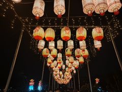 -广西壮族自治区药用植物园