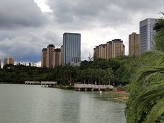 -洛龙公园