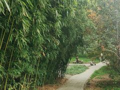-丰台花园