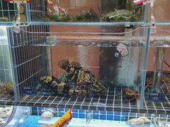-苏淮景·苏闽融创菜·海鲜(原空港井河轩店)