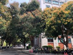 -厦门大学(思明校区)