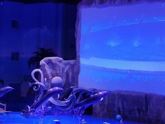 -华夏文旅海洋公园