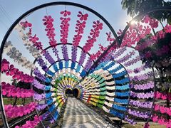 -广东花都香草世界旅游度假区