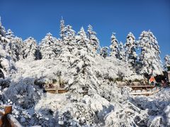 -瓦屋山景区