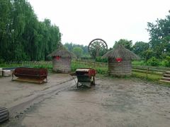 -溱湖国家湿地公园