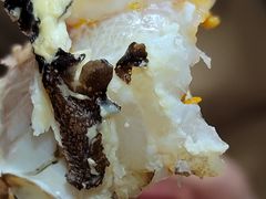 -黄记大闸蟹专卖店·活蟹·醉蟹