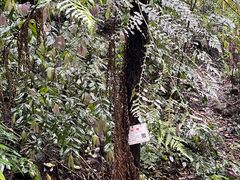 -赤水丹霞旅游区·佛光岩