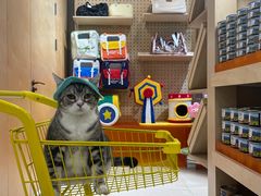 -帕帕拉兹宠物(亚洲旗舰店)