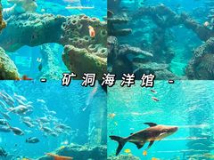 -长鹿旅游休博园