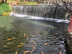 -丽江玉水寨