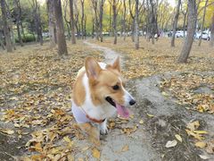-奥林匹克森林公园南门-停车场