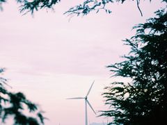 -东白山