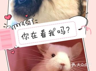 带孩子游玩，除了可以去儿童乐园还可以来宠物主题