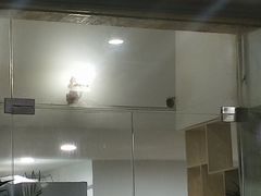 -老秦凉都黄牛肉馆(九堡店)