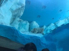 -横琴湾水世界