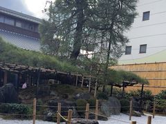 -中村藤吉(本店)