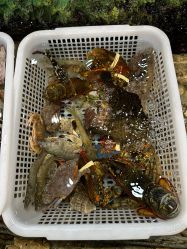 -钓虾工场·钓虾·赶海(回龙观店)