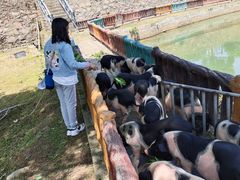 -湖南湘都生态农业园