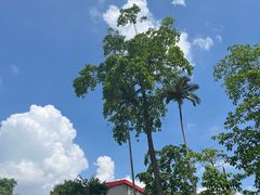 -广西壮族自治区药用植物园