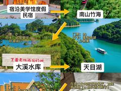 -紫藤园·天目湖大鱼头(南山竹海店)