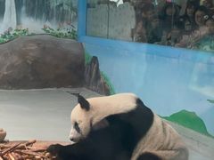 -柳州市动物园