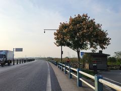 -合肥滨湖国家森林公园