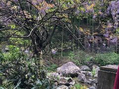 -浙北大峡谷