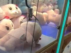 -汤姆熊欢乐世界(滨江店)