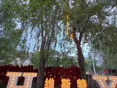-维斯特·夜烤牛肋条任吃