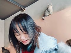 -猫儿山۰猫主题餐厅