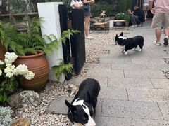 -自由生长植物工作室(深港花卉中心店)
