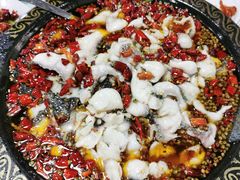 -金三可市井水煮鱼(金碧园店)