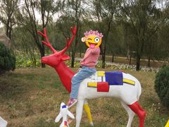 -南戴河国际娱乐中心