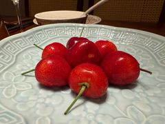 -觅唐MITONG(鸟巢店)