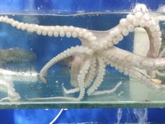 -雅逸居海鲜小厨