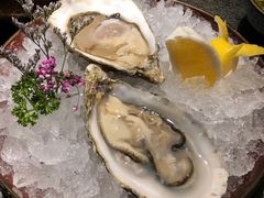 吉拉多生蚝-荣记火锅(青悦城店)