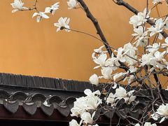-龙华寺