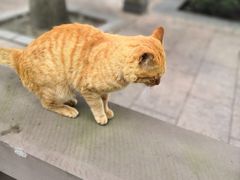 -四川大学(望江校区)