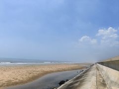 -日照海滨国家森林公园