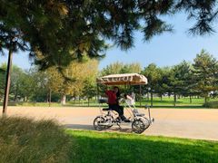 -汉长安城未央宫国家考古遗址公园