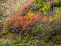 -郧西五龙河风景区