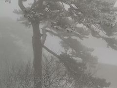 -妙峰山风景名胜区