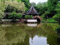 -上海醉白池公园