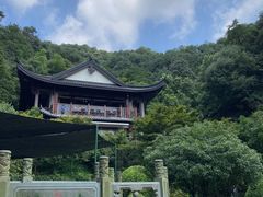 -十八棵（老龙井）御茶园(老龙井店)